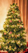 Christmas Tree Images