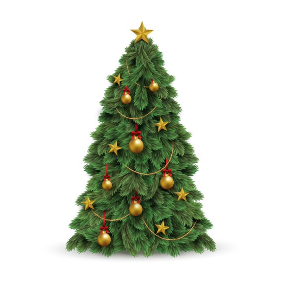 Authentic Christmas Trees and Artificial Plants