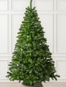 GREEN TREE