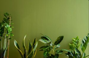 Genuine Artificial Plants