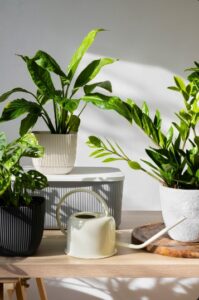 Genuine Artificial Plants 1 1