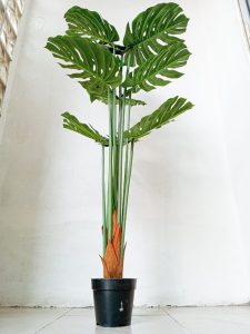  Artificial Plants