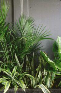Premium Artificial Greenery