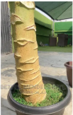Artificial Paw Paw Trees