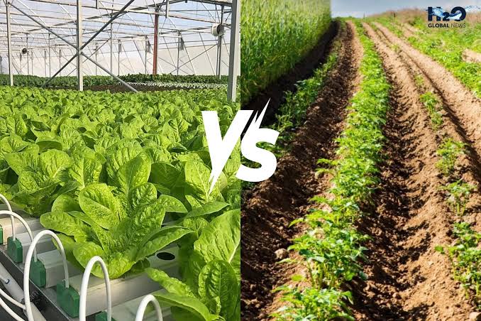 Soil Farming vs Hydroponics
