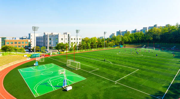 Sports Facility Construction