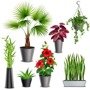 Top 7 Authentic Artificial Plant Design