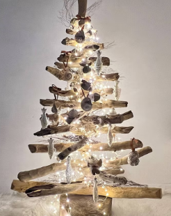 christmas tree plant