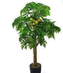 Artificial PawPaw Tree