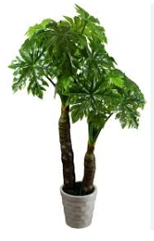 Best Artificial Plants for Modern African Homes