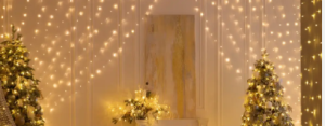HANGING CHRISTMAS LIGHT