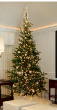 Best Christmas Trees 2025 