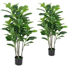 images 3 4