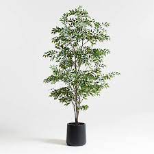 images 3 6