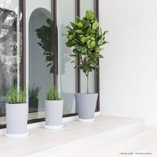 images 4 3