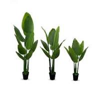 images 5 1