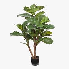 images 9 1