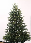 minimalist tree