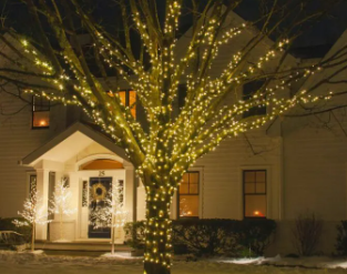 Xmas decorations outdoor.